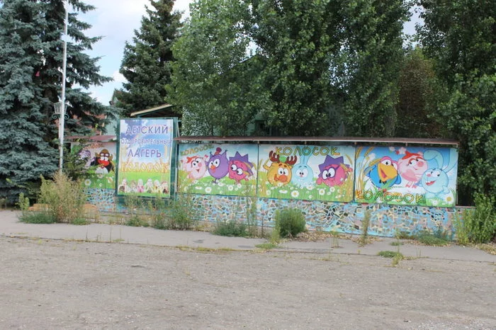 The land of the Kolosok children's camp in the Voronezh region was taken away from an illegal buyer - Voronezh, Children's camp, Spikelet, Justice, Corruption