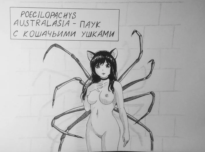 Arachism - NSFW, My, Drawing, Spider, Monster girl, Anime, Animal ears, Biology, Longpost