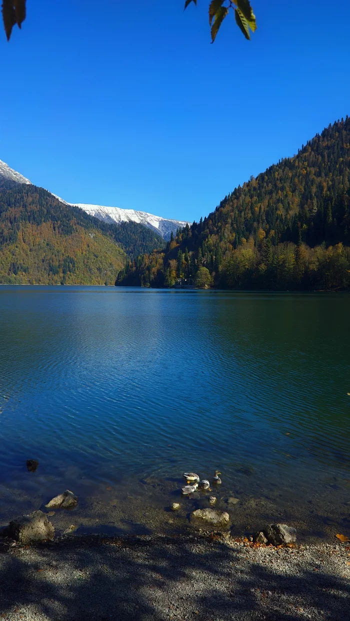 Abkhazia - My, Mobile photography, The photo, Abkhazia, Longpost, Nature, The mountains