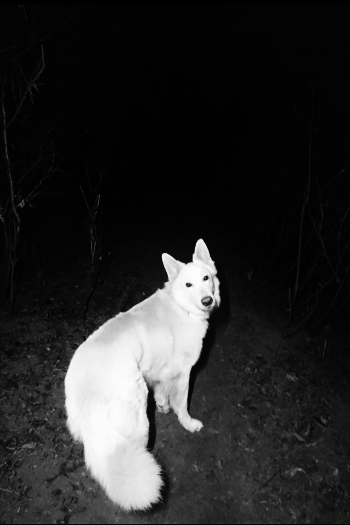 � ������� ��� ������ ������?