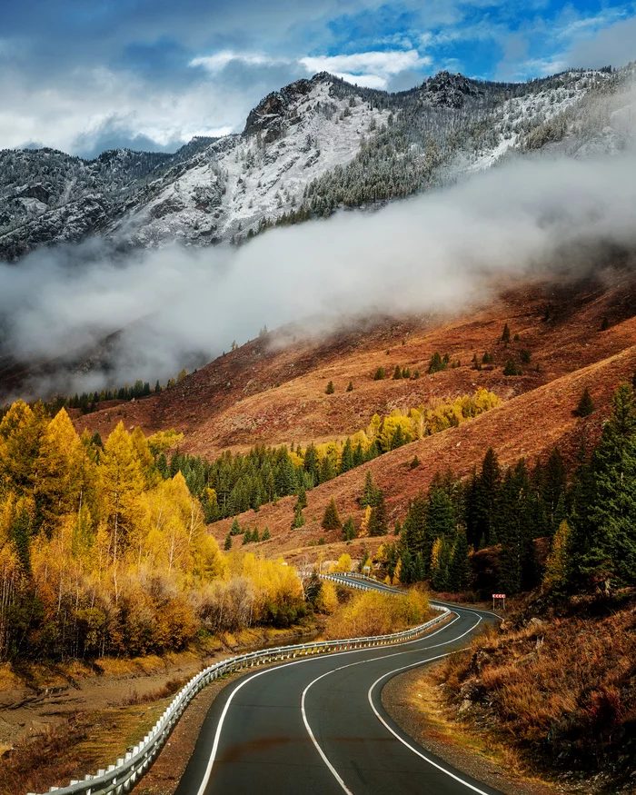 Beauty of Altai - My, Altai Republic, Altai Mountains, The photo, Nature, Chuisky tract