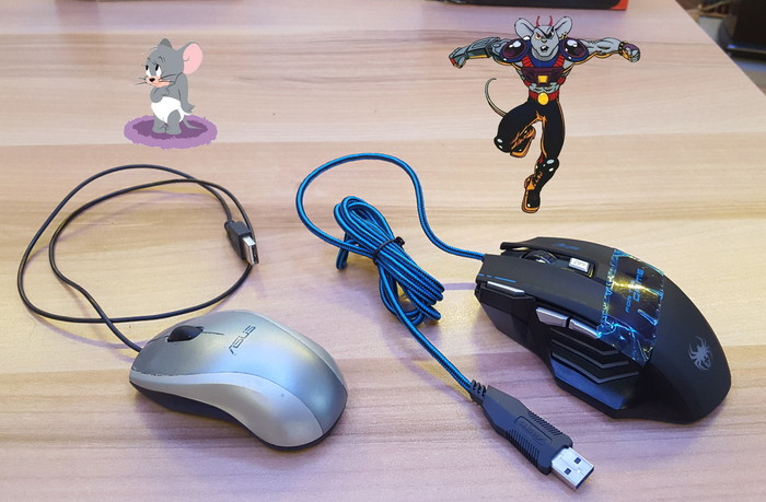 ��� ������� "��������" ������� �� 12 ���