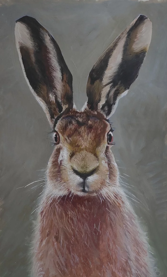 Hare - My, Oil paints, Animalistics, Hare