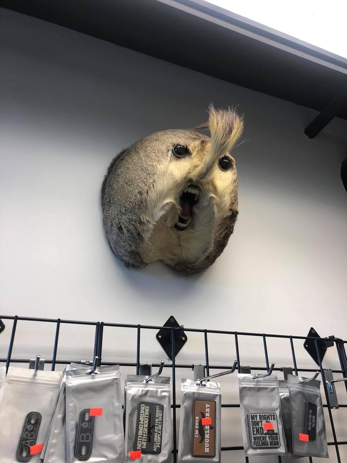    ... , , , 