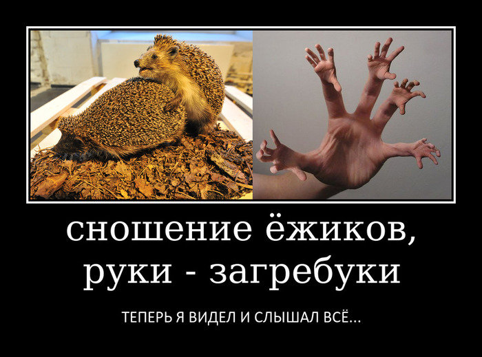 ���� - ���������