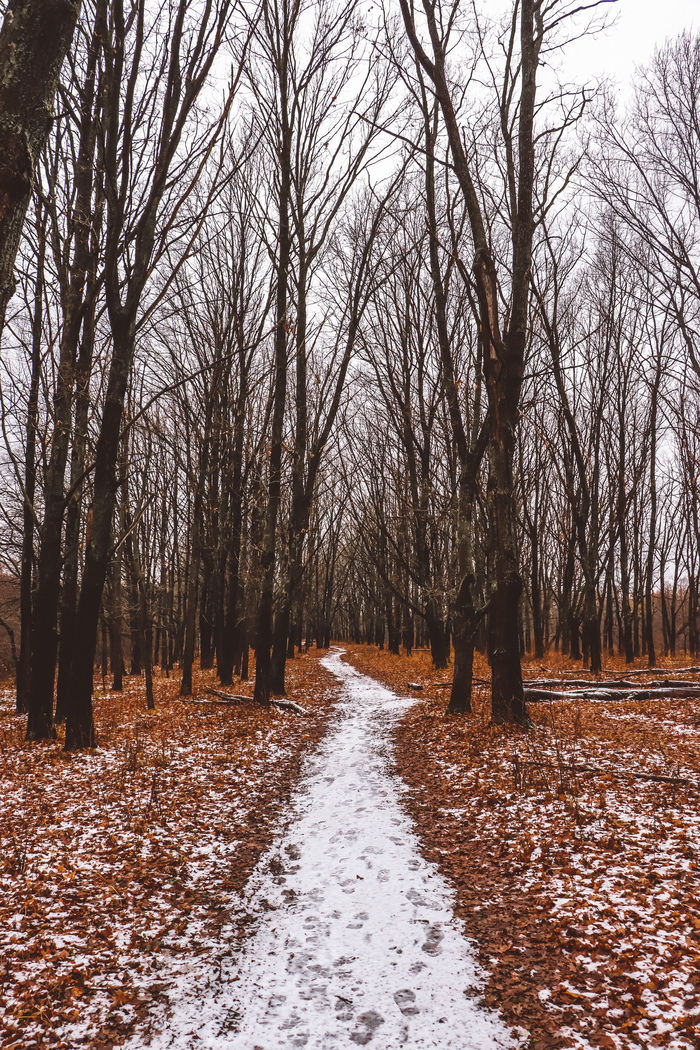озеро донцо история происхождения. Смотреть фото озеро донцо история происхождения. Смотреть картинку озеро донцо история происхождения. Картинка про озеро донцо история происхождения. Фото озеро донцо история происхождения озеро донцо история происхождения. Смотреть фото озеро донцо история происхождения. Смотреть картинку озеро донцо история происхождения. Картинка про озеро донцо история происхождения. Фото озеро донцо история происхождения