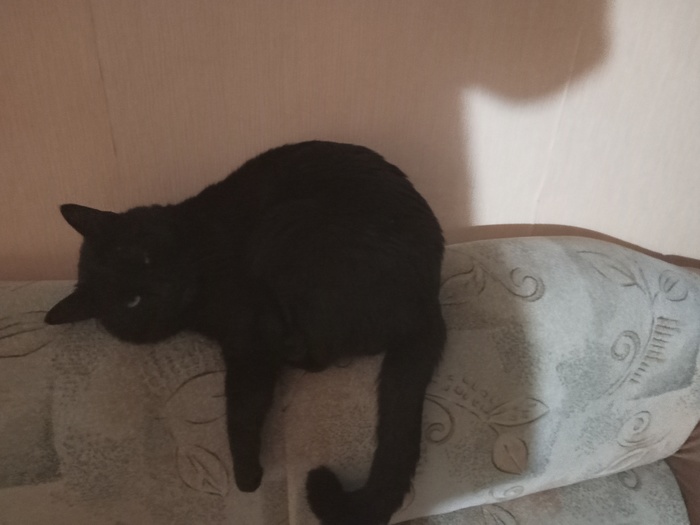 Лень всех спасет