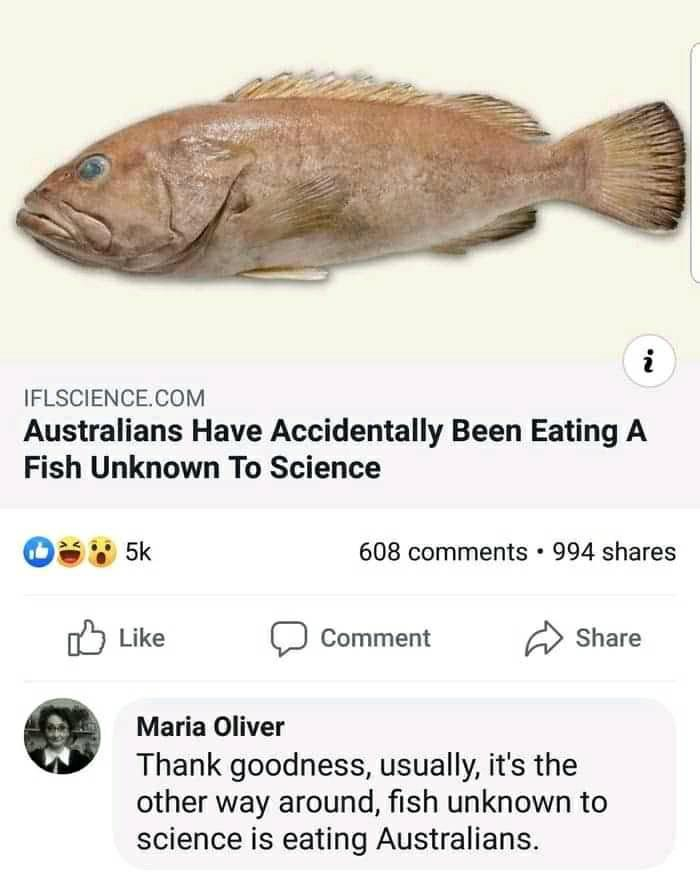 Australian man accidentally eats fish unknown to science - Australia, The science, Animals, A fish, Food, news, Screenshot, Comments