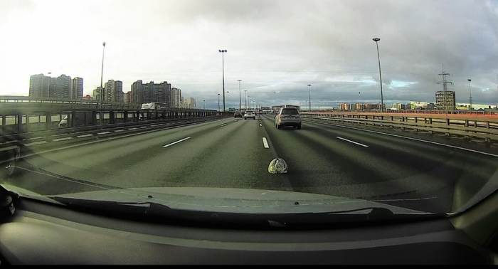 Есть ли вина дорожников?