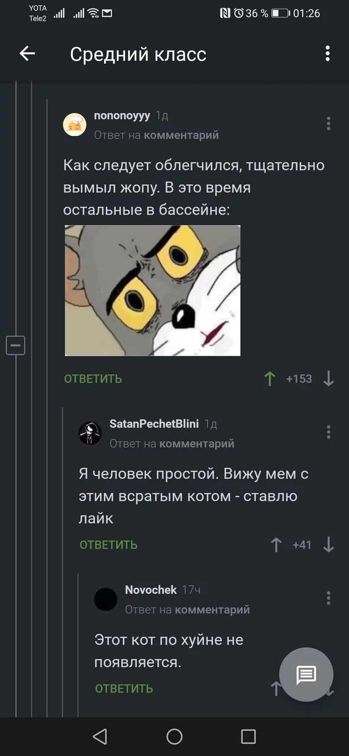 cat - Screenshot, cat, Tom and Jerry, Humor, Comments on Peekaboo, Comments, Longpost