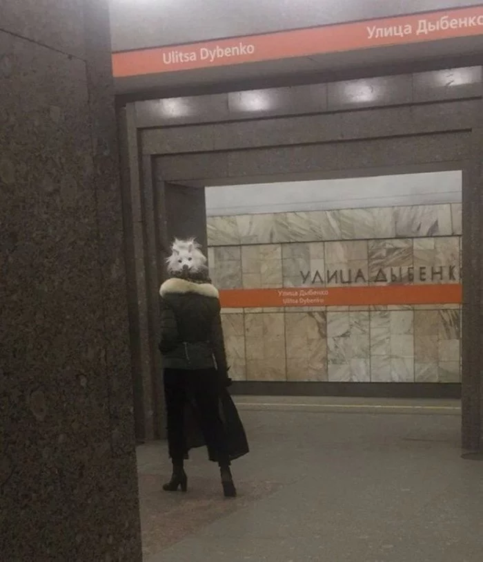 In the underground - Saint Petersburg, Dog, It seemed, Dybenko
