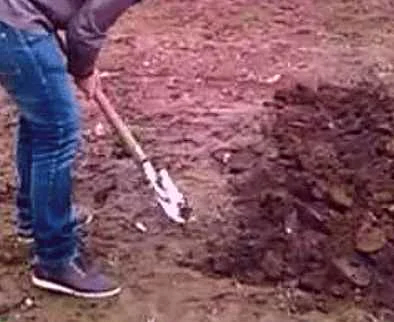 Refugees with shovels dig a tunnel under the ground to cross the border - Humor, IA Panorama