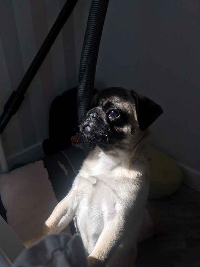 Слежу за тобой!