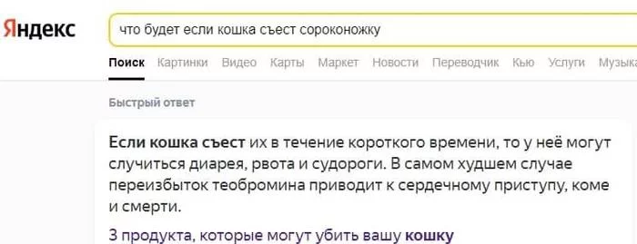The cat ate a centipede and after a while began to vomit - My, Yandex., cat, Centipede