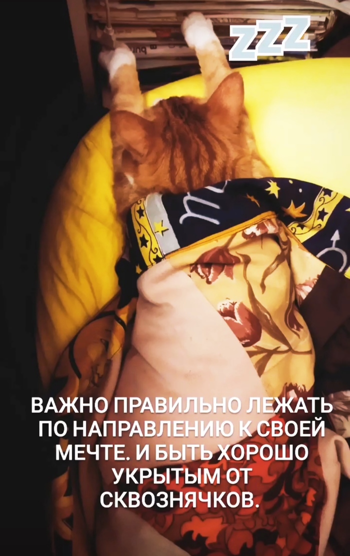   , , 