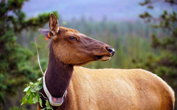 ��� ������ ��������� �� ��������� � ����� �������?