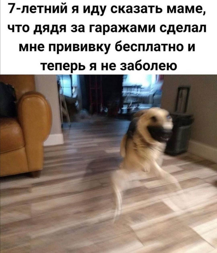 кого спасешь первым тест. Смотреть фото кого спасешь первым тест. Смотреть картинку кого спасешь первым тест. Картинка про кого спасешь первым тест. Фото кого спасешь первым тест