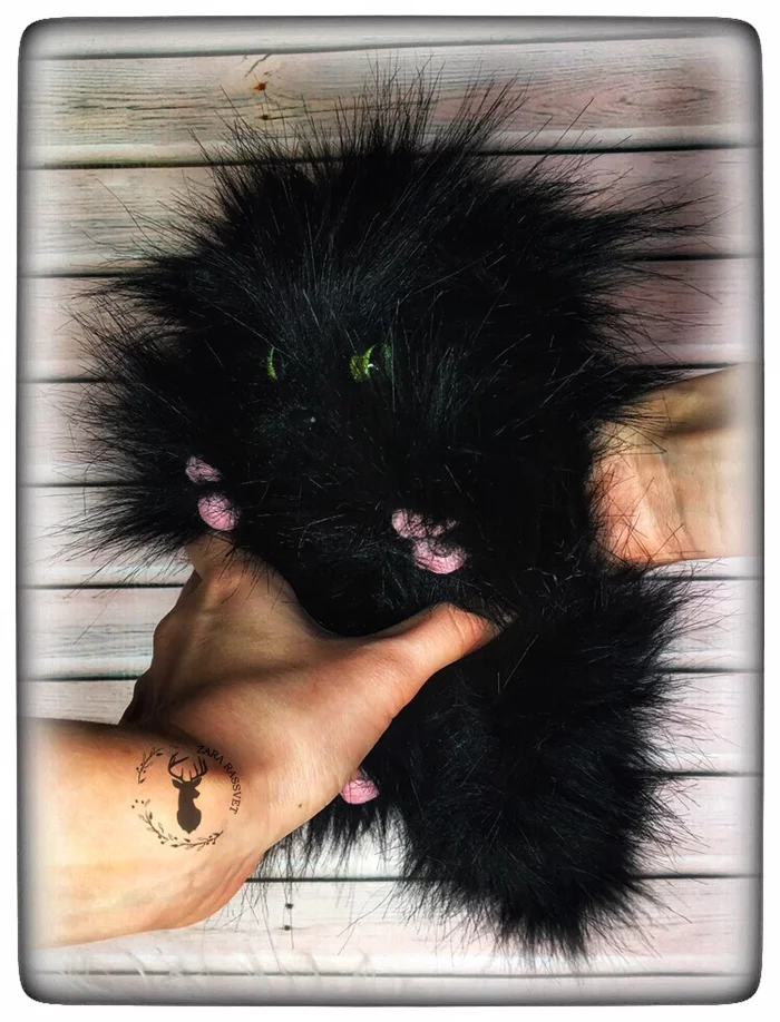 Handmade toys - My, Black cat, Teddy's friends, Presents, Needlework without process, Soft toy, Longpost