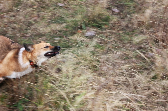 ϸ��� ��������