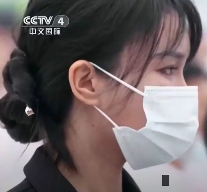 Where did the famous Chinese video blogger Li Ziqi go? - Liziqi, Bloggers, China, Court, Copyright, Money, Conflict, Asians, With your own hands, Needlework, Needlework with process, The culture, Nature, Appeasement, Process, Video, Longpost