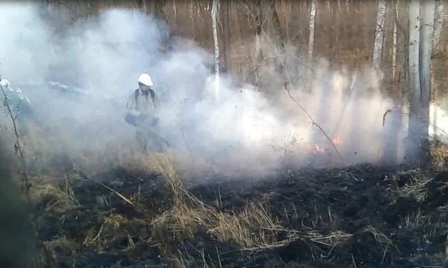 For a week, from November 8 to November 14, forest fire services and involved persons eliminated 27 forest fires in 12 regions of Russia - My, Forest, Fire safety, Forest fires, Avialesokhrana, Fire
