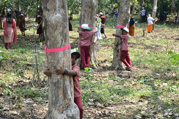 Mass hugging trees, a plastic bottle castle and other eco-records from the Guinness Book - Ecology, Garbage, Tree, Plastic, Plastic bottles, Waste recycling, Longpost