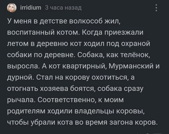 Охотничий кот - Скриншот, Комментарии на Пикабу, Кот, Собака, Корова, Волкособ