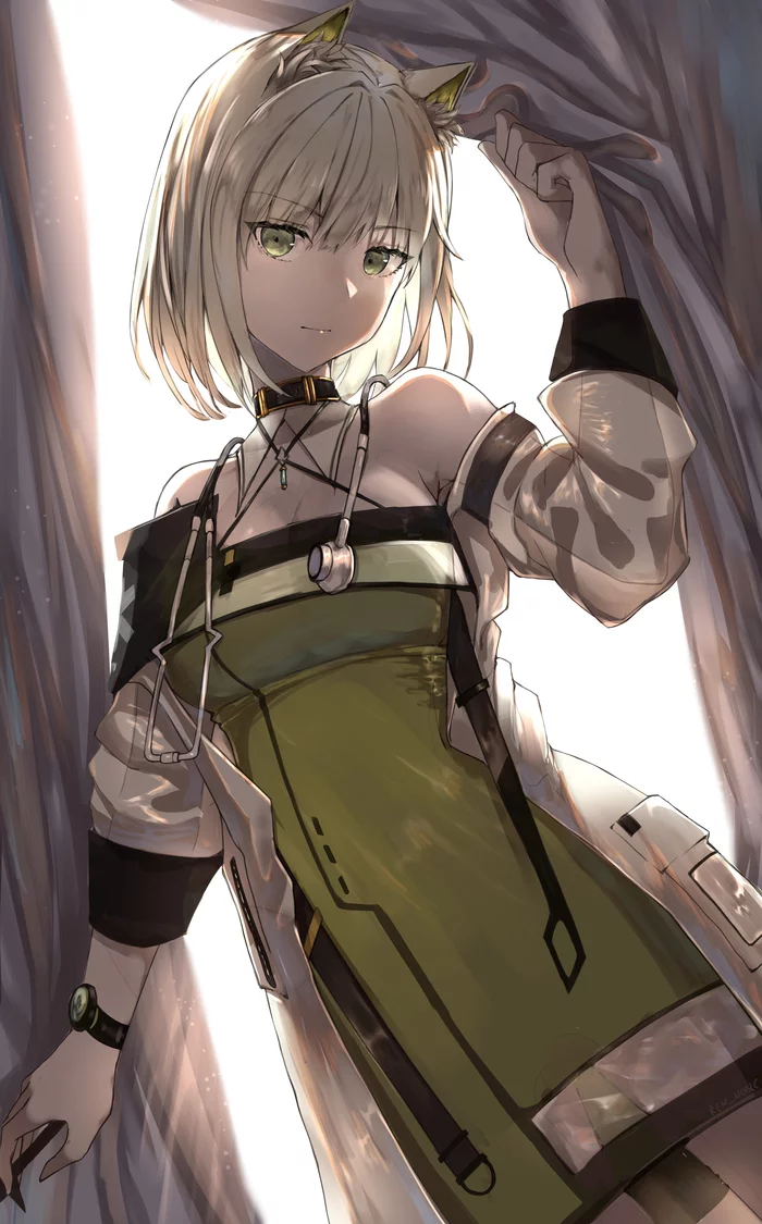 Arknights operator's - Аниме, Anime Art, Arknights, Kaltsit, Talulah, W (Arknights), Amiya, Blaze, Lappland, Texas (Arknights), Saria, Platinum, Длиннопост, Angelina (Arknights)