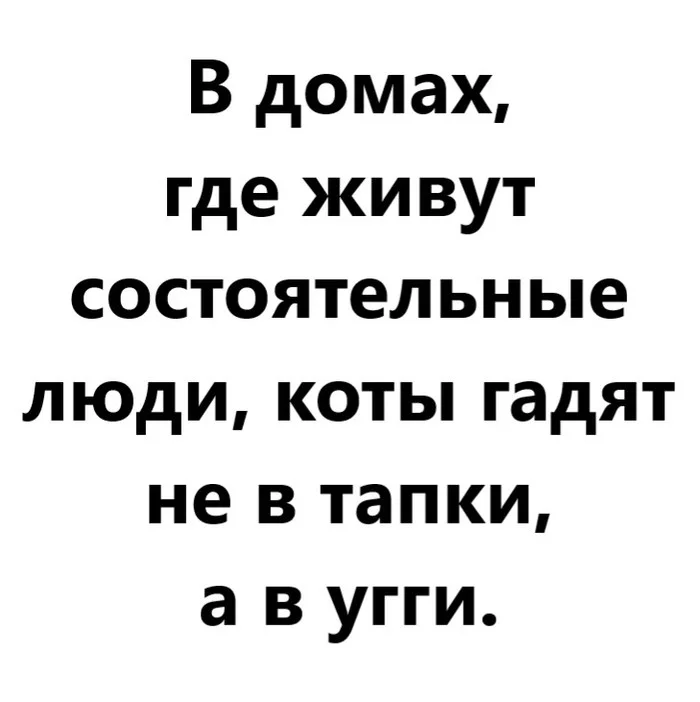 В домах состоятельных людей - Моё, Дом, Состоятельность, Люди, Жизнь, Кот, Тапки, Угги, Юмор, Ирония, Картинка с текстом, Анекдот