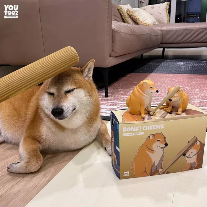 The owner of Chims released a toy with a dog from the Go To Horny Jail meme And repeated the meme in reality - Shiba Inu, Dog, Memes, Toys, October, Tjournal, Video, Longpost