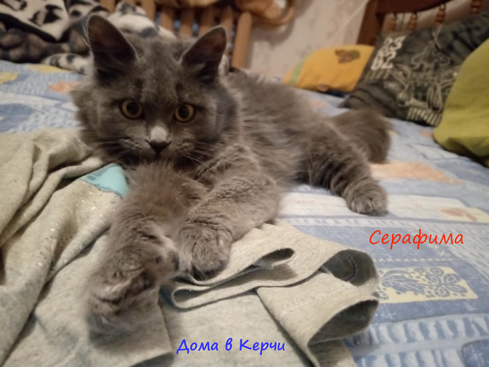 мозг зачем надо мем. Смотреть фото мозг зачем надо мем. Смотреть картинку мозг зачем надо мем. Картинка про мозг зачем надо мем. Фото мозг зачем надо мем