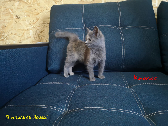 мозг зачем надо мем. Смотреть фото мозг зачем надо мем. Смотреть картинку мозг зачем надо мем. Картинка про мозг зачем надо мем. Фото мозг зачем надо мем