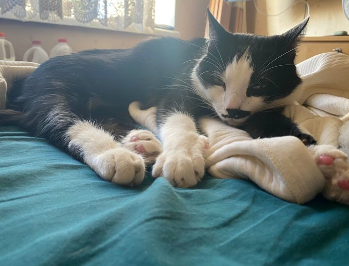 ΡΠΈΡΡΠ½ΠΊΠΈ ΠΊΠΎΡΠΈΠΊΠΎΠ² Ρ Π΅Π΄ΠΎΠΉ. Π‘ΠΌΠΎΡΡΠ΅ΡΡ ΡΠΎΡΠΎ ΡΠΈΡΡΠ½ΠΊΠΈ ΠΊΠΎΡΠΈΠΊΠΎΠ² Ρ Π΅Π΄ΠΎΠΉ. Π‘ΠΌΠΎΡΡΠ΅ΡΡ ΠΊΠ°ΡΡΠΈΠ½ΠΊΡ ΡΠΈΡΡΠ½ΠΊΠΈ ΠΊΠΎΡΠΈΠΊΠΎΠ² Ρ Π΅Π΄ΠΎΠΉ. ΠΠ°ΡΡΠΈΠ½ΠΊΠ° ΠΏΡΠΎ ΡΠΈΡΡΠ½ΠΊΠΈ ΠΊΠΎΡΠΈΠΊΠΎΠ² Ρ Π΅Π΄ΠΎΠΉ. Π€ΠΎΡΠΎ ΡΠΈΡΡΠ½ΠΊΠΈ ΠΊΠΎΡΠΈΠΊΠΎΠ² Ρ Π΅Π΄ΠΎΠΉ ΡΠΈΡΡΠ½ΠΊΠΈ ΠΊΠΎΡΠΈΠΊΠΎΠ² Ρ Π΅Π΄ΠΎΠΉ. Π‘ΠΌΠΎΡΡΠ΅ΡΡ ΡΠΎΡΠΎ ΡΠΈΡΡΠ½ΠΊΠΈ ΠΊΠΎΡΠΈΠΊΠΎΠ² Ρ Π΅Π΄ΠΎΠΉ. Π‘ΠΌΠΎΡΡΠ΅ΡΡ ΠΊΠ°ΡΡΠΈΠ½ΠΊΡ ΡΠΈΡΡΠ½ΠΊΠΈ ΠΊΠΎΡΠΈΠΊΠΎΠ² Ρ Π΅Π΄ΠΎΠΉ. ΠΠ°ΡΡΠΈΠ½ΠΊΠ° ΠΏΡΠΎ ΡΠΈΡΡΠ½ΠΊΠΈ ΠΊΠΎΡΠΈΠΊΠΎΠ² Ρ Π΅Π΄ΠΎΠΉ. Π€ΠΎΡΠΎ ΡΠΈΡΡΠ½ΠΊΠΈ ΠΊΠΎΡΠΈΠΊΠΎΠ² Ρ Π΅Π΄ΠΎΠΉ