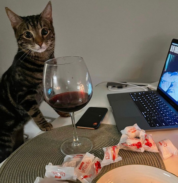 ΡΠΈΡΡΠ½ΠΊΠΈ ΠΊΠΎΡΠΈΠΊΠΎΠ² Ρ Π΅Π΄ΠΎΠΉ. Π‘ΠΌΠΎΡΡΠ΅ΡΡ ΡΠΎΡΠΎ ΡΠΈΡΡΠ½ΠΊΠΈ ΠΊΠΎΡΠΈΠΊΠΎΠ² Ρ Π΅Π΄ΠΎΠΉ. Π‘ΠΌΠΎΡΡΠ΅ΡΡ ΠΊΠ°ΡΡΠΈΠ½ΠΊΡ ΡΠΈΡΡΠ½ΠΊΠΈ ΠΊΠΎΡΠΈΠΊΠΎΠ² Ρ Π΅Π΄ΠΎΠΉ. ΠΠ°ΡΡΠΈΠ½ΠΊΠ° ΠΏΡΠΎ ΡΠΈΡΡΠ½ΠΊΠΈ ΠΊΠΎΡΠΈΠΊΠΎΠ² Ρ Π΅Π΄ΠΎΠΉ. Π€ΠΎΡΠΎ ΡΠΈΡΡΠ½ΠΊΠΈ ΠΊΠΎΡΠΈΠΊΠΎΠ² Ρ Π΅Π΄ΠΎΠΉ ΡΠΈΡΡΠ½ΠΊΠΈ ΠΊΠΎΡΠΈΠΊΠΎΠ² Ρ Π΅Π΄ΠΎΠΉ. Π‘ΠΌΠΎΡΡΠ΅ΡΡ ΡΠΎΡΠΎ ΡΠΈΡΡΠ½ΠΊΠΈ ΠΊΠΎΡΠΈΠΊΠΎΠ² Ρ Π΅Π΄ΠΎΠΉ. Π‘ΠΌΠΎΡΡΠ΅ΡΡ ΠΊΠ°ΡΡΠΈΠ½ΠΊΡ ΡΠΈΡΡΠ½ΠΊΠΈ ΠΊΠΎΡΠΈΠΊΠΎΠ² Ρ Π΅Π΄ΠΎΠΉ. ΠΠ°ΡΡΠΈΠ½ΠΊΠ° ΠΏΡΠΎ ΡΠΈΡΡΠ½ΠΊΠΈ ΠΊΠΎΡΠΈΠΊΠΎΠ² Ρ Π΅Π΄ΠΎΠΉ. Π€ΠΎΡΠΎ ΡΠΈΡΡΠ½ΠΊΠΈ ΠΊΠΎΡΠΈΠΊΠΎΠ² Ρ Π΅Π΄ΠΎΠΉ