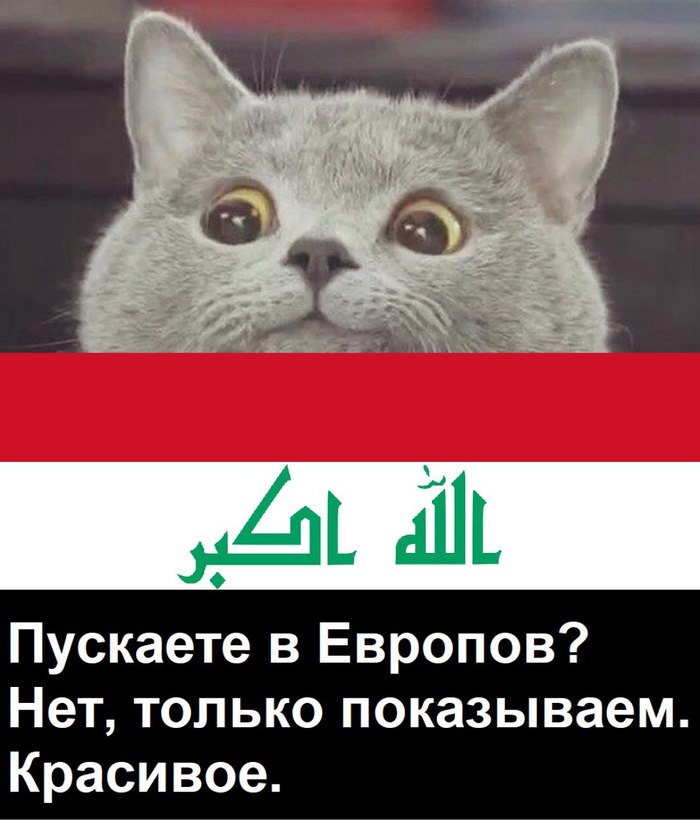 �� �������� �������