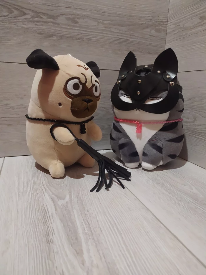 The origin of the cotops - My, cat, Pug, Soft toy, Catwoman