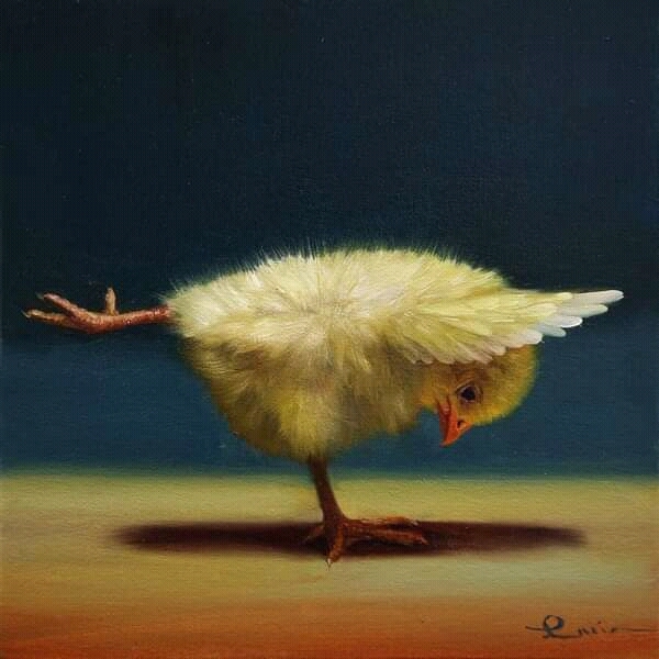 Tsypoyoga - Art, Chickens, Yoga, Milota, Longpost