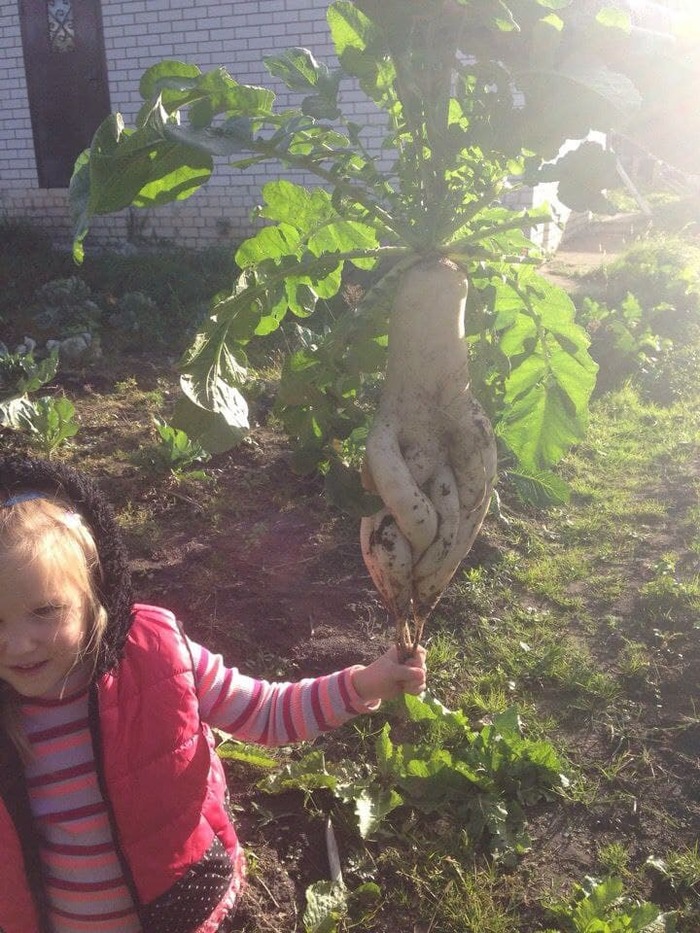 Ответ на пост «Ну, я пошла...»