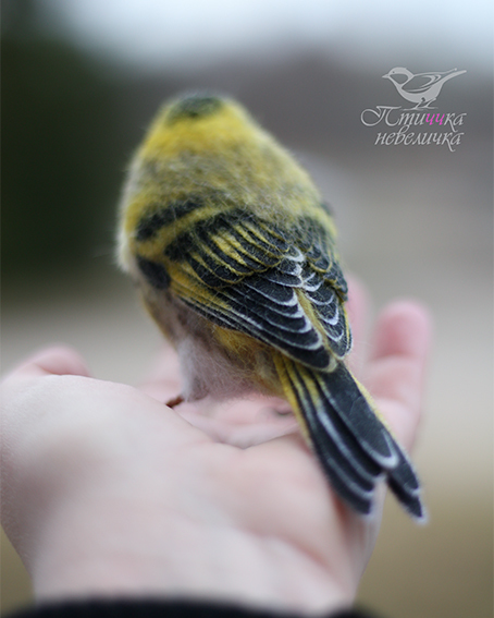 Dry felting. - My, Dry felting, Needlework, Needlework without process, Handmade, Creation, Author's toy, Master, Birds, Longpost