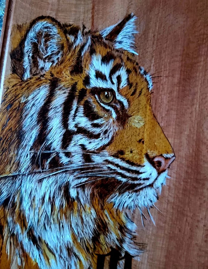 Striped year - My, Pyrography, Painting, Tiger, Woodworking, Symbol of the year, Needlework, Video, Longpost, Needlework without process