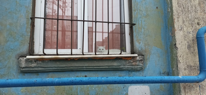 Иду на работу... Иди...