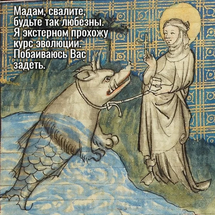 You never know ... - Suffering middle ages, Strange humor, Memes, Evolution, Tarask, Вежливость