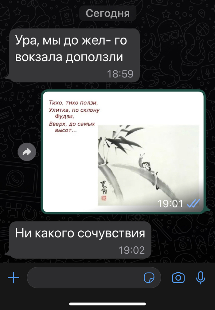 Тихо-тихо ползи улитка…