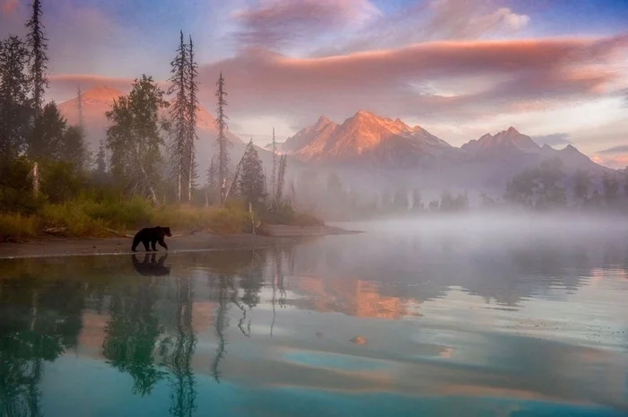 Alaska - The photo, Nature, Alaska, Forest, Lake, Fog, Clouds, beauty of nature, beauty, The Bears