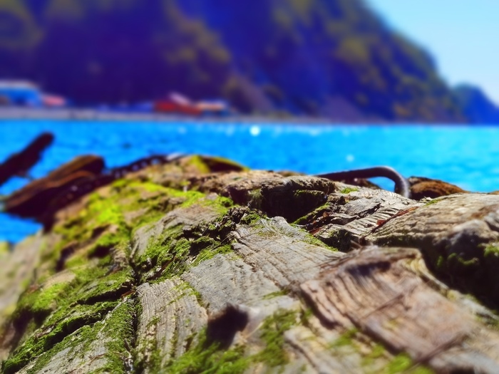 ������� �������