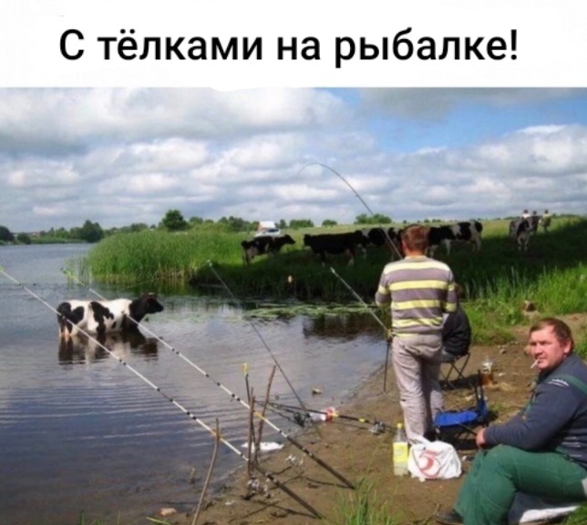 Double standarts - Podkol, Humor, Features of national fishing, Relaxation