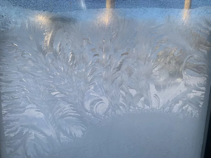 A bit of winter beauty - My, Winter, Window, Patterns on the window