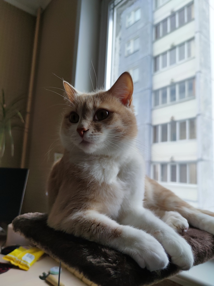 ��� ���� �� ������� �������� ����