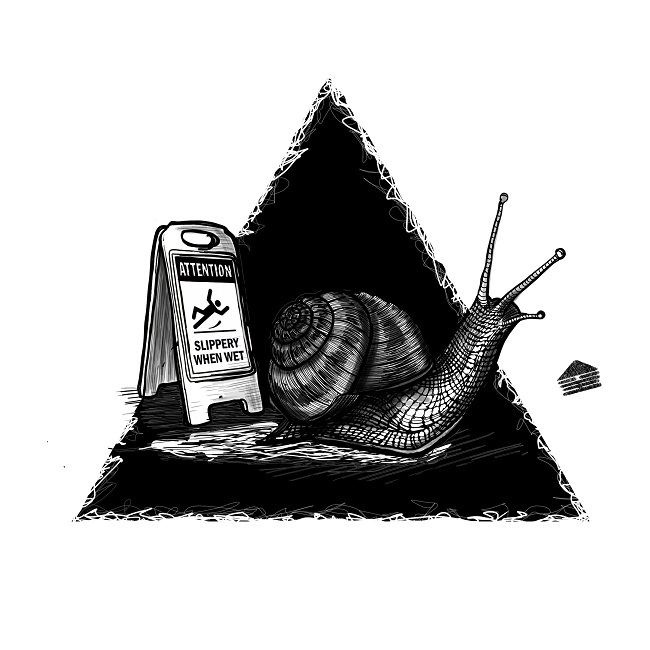 Snail - My, Snail, Drawing, Black and white, Graphics, Art, Poster, Print, Sketch, Tattoo, Photoshop