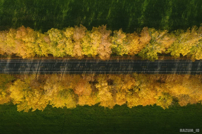 Road for the National geographic list - My, Travels, The photo, Russia, Road, Autumn, Ivanovo region